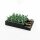 Black Organizer Abgrundtief
