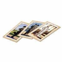 Picture Perfect Pickpocket Expansion