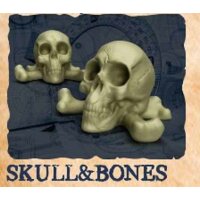 Painted Plastic 10-pack Resource Tokens: Skull & Bones
