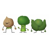 Foodfighters