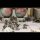 Cannon Fodder 2 (Females)