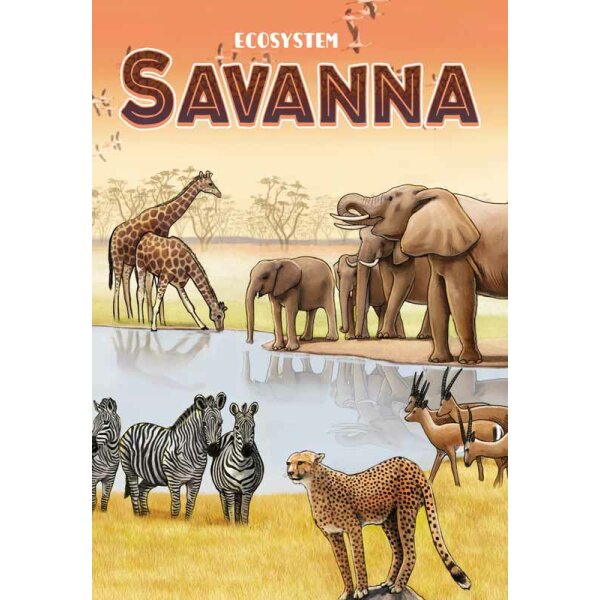 Ecosystem - Savanna