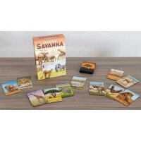 Ecosystem - Savanna