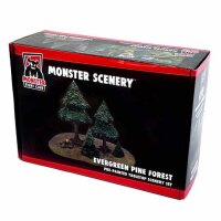 Evergreen Pine Forest
