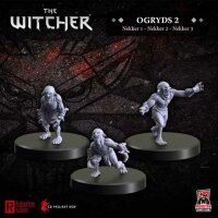 Witcher RPG: Ogryds 3 - Nekkers