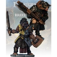 Frostgrave: Gnoll Knight & Templar