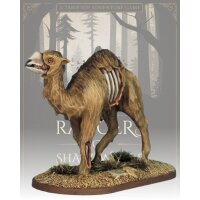 Rangers of Shadow Deep: Zombie Camel