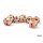 Festive® Mega-hedral™ Circus™/black 7-Die Set