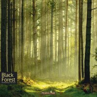 Black Forest - EN