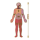 Dr. Livingstons Anatomiepuzzle: Kopf