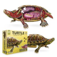 Turtle Puzzle