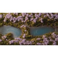 Lavender Flowers