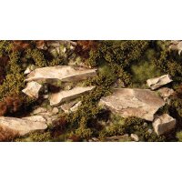 Dry Green Shrubs