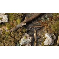 Swamp Shrubs
