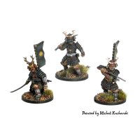 Samurai Warriors (24 infantry models)