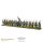 Black Powder: French Light Infantry (Waterloo)