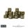 Bolt Action: Allied Star D6 Dice (16)