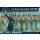 Black Powder: Late French Line Infantry (1812-1815)