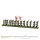 Black Powder: Napoleonic Spanish Infantry (2nd & 3rd Battalions) 1805-1811