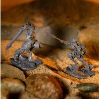 Stormlight: Way of Kings Miniatures Set