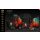 The Witcher 3: Wild Hunt Anniversary Monster Slayer Kit