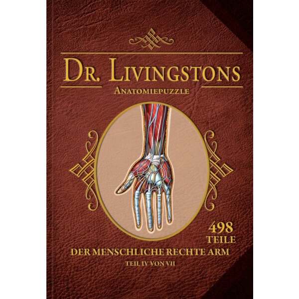 Dr. Livingstons Anatomiepuzzle: Der rechte Arm